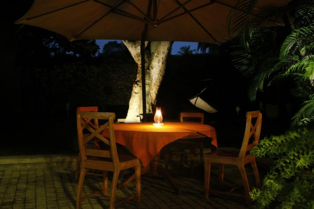 Lodge 19 Negombo Bagian luar foto
