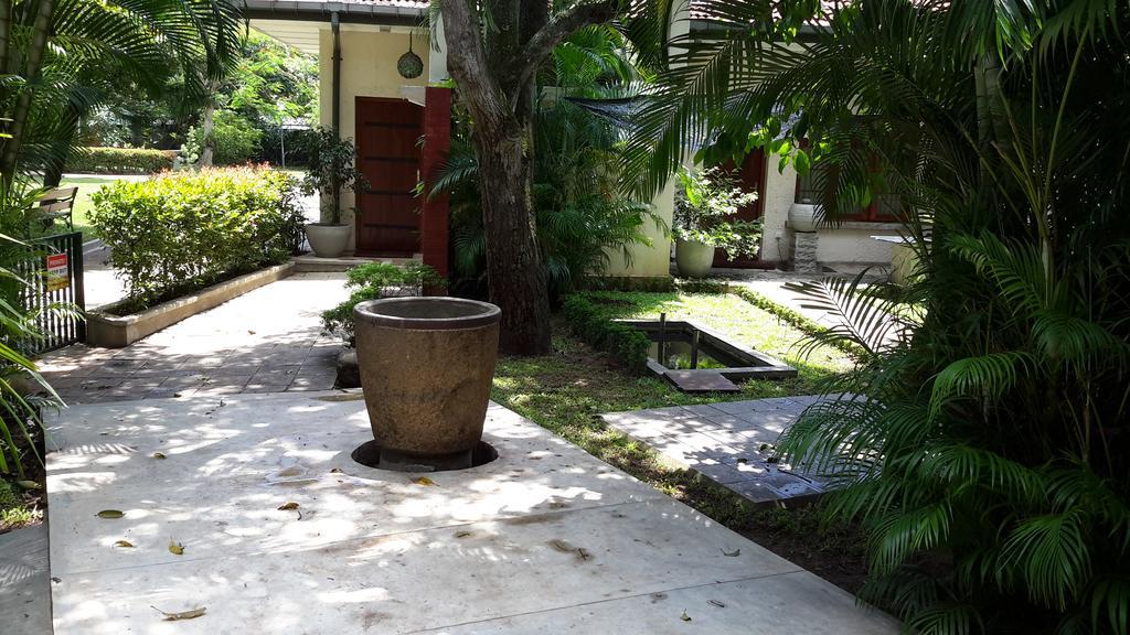 Lodge 19 Negombo Bagian luar foto